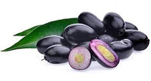 Win Jamun Tablets Tablets-180 Tablets-Pure Ayurvedic Jamun Tablets With Multipale Benefits.